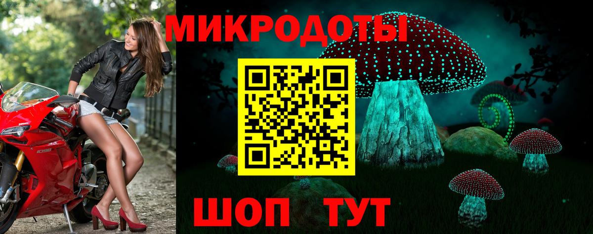 Псилоцибиновые грибы Cubensis  Вход с VPN  Черкесск 